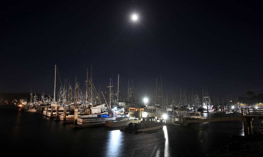 The Bodega Bay fishing fleet remains in port, Wednesday, Nov. 25, 2020, as commercial Dungeness crab season is delayed off the Sonoma County coast and to south in order to prevent endangered whales from getting entangled in fishing gear. (Kent Porter / The Press Democrat) 2020