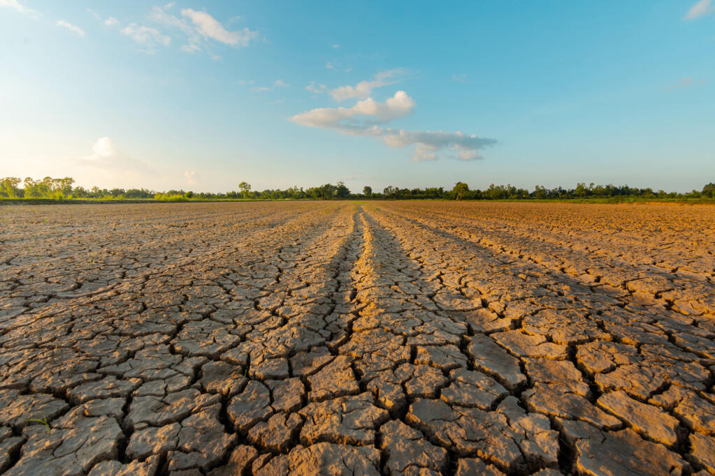 Drought parched farmland (stock photo)