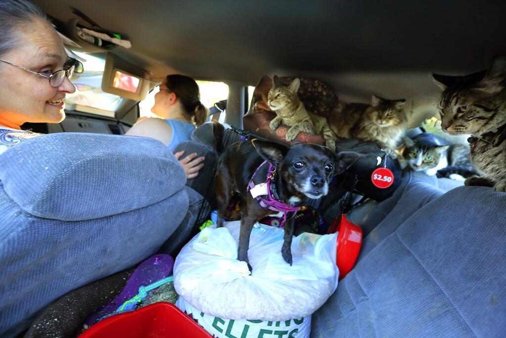 Kim Echols. left, and her daughter Rebecca, along with their two dogs and four cats have been living in their car since they were evicted last April. The pair takes advantage of the safe parking program at the Permit and Resource Management Department in the county center in Santa Rosa. (JOHN BURGESS/The Press Democrat)