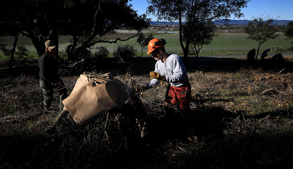 Isaac Reed, left, and Morgan Stewart with Sonoma County Regional Parks form a burn pile at Shiloh Ranch Regional Park, Friday, Jan. 20, 2023, in Windsor. The burn piles have been created after crews limbed up the surrounding forest to mitigate fire danger. The project is part of Measure M. (Kent Porter / The Press Democrat) 2023
