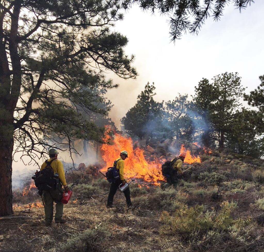 Firefighters from Sonoma Valley and Rancho Adobe fire departments administer the controlled burn on Sonma Mountain, June 10, 2021. (Facebook)