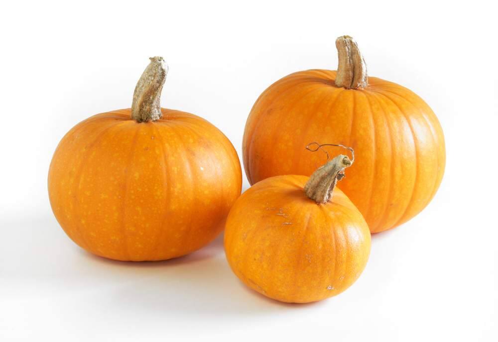 pumpkins for 10 day calendar