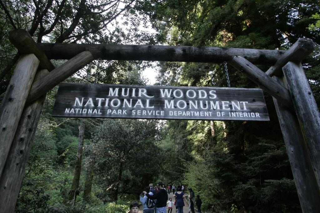 FILE - In this March 25, 2008 file photo visitors walk along a pathway near the entrance to the Muir Woods National Monument in Marin County, Calif. Authorities say a Redwood tree fell and fatally struck a man visiting Muir Woods National Monument Park on Christmas Eve Dec. 24, 2019. (AP Photo/Eric Risberg,File)