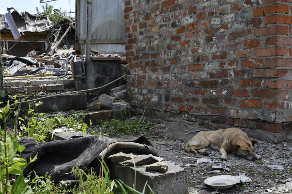 A survived dog lies next to a building damaged by an overnight missile strike in Sloviansk, Ukraine, Wednesday, June 1, 2022. (AP Photo/Andriy Andriyenko)