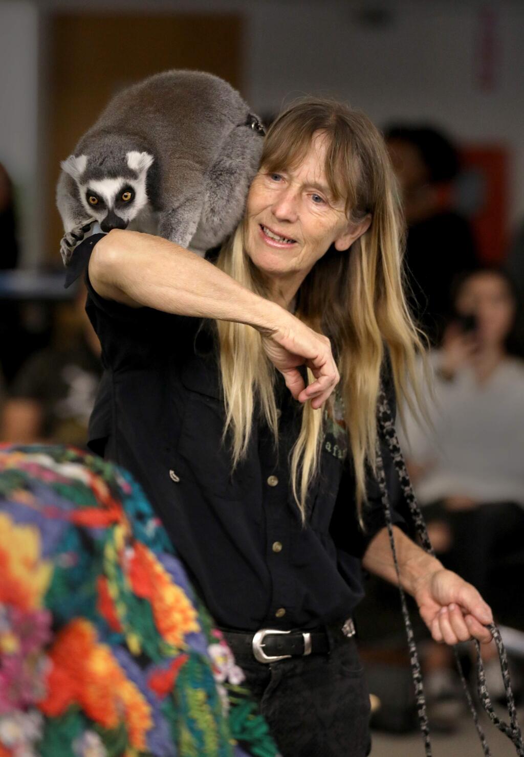 Bonnie Cromwell, owner and educational director of Classroom Safari, handles Riccochet, a ring-tailed lemur, during a presentation in the library at Casa Grande High School in Petaluma on Tuesday, Nov. 5, 2019. (BETH SCHLANKER/ The Press Democrat)