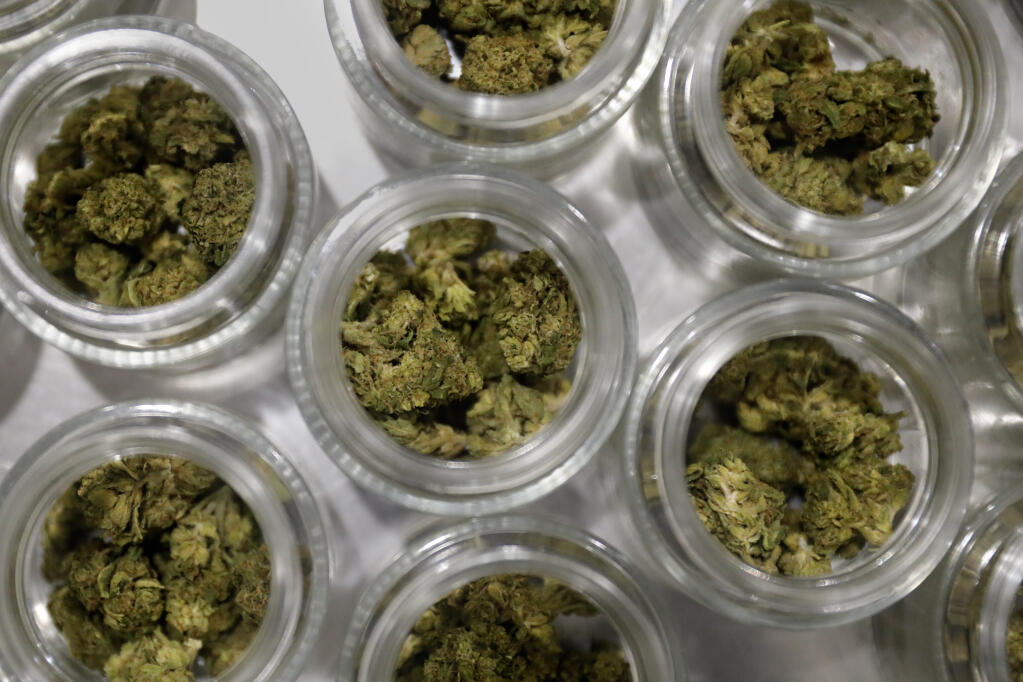 Jars of cannabis flower are weighed before being packaged into bags at the SPARC processing facility in Santa Rosa, Calif., on Wednesday, December 1, 2021. (Beth Schlanker/The Press Democrat)