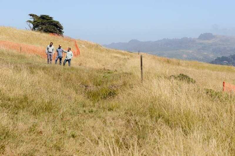Lance Kuehne/Sonoma Land TrustFrom left, Davde Koehler of the Sonoma Land Trust, Bill Keene of the Sonoma County Agricultural Preservation and Open Space District and Brooke Edwards of the Wildlands Conservancy at the Jenner Headlands Preserve in June 2017.