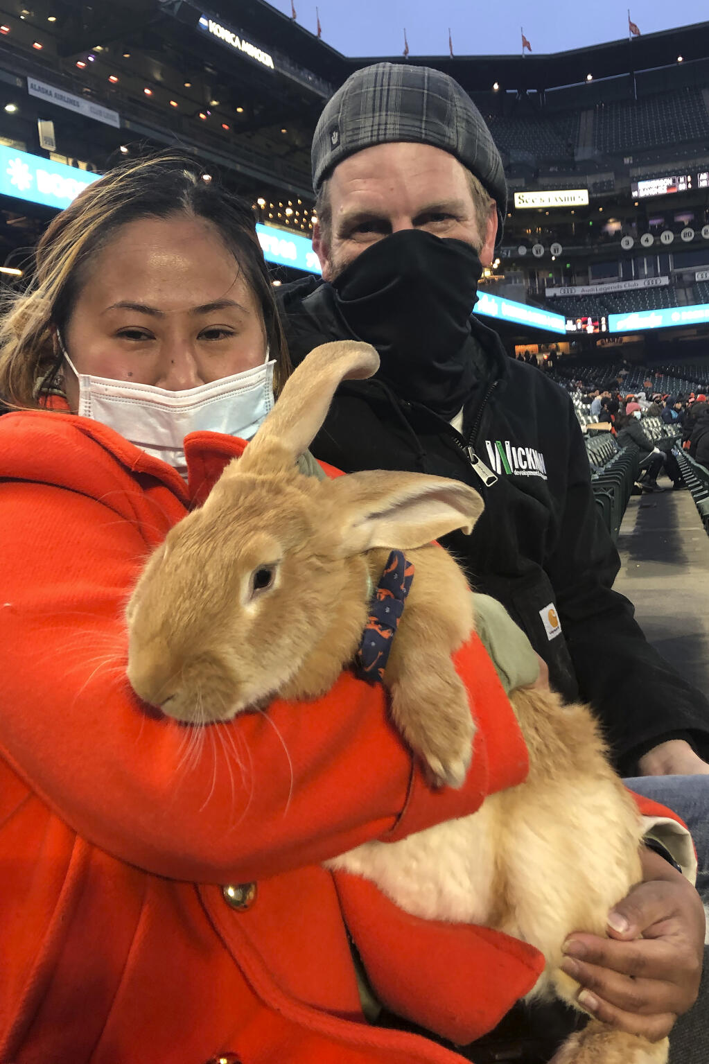 Kei Kato, left, and her fiance, Josh Row, hold a therapy bunny named Alex during a baseball game between the San Francisco Giants and the Miami Marlins in San Francisco, Thursday, April 22, 2021. (AP Photo/Janie McCauley)