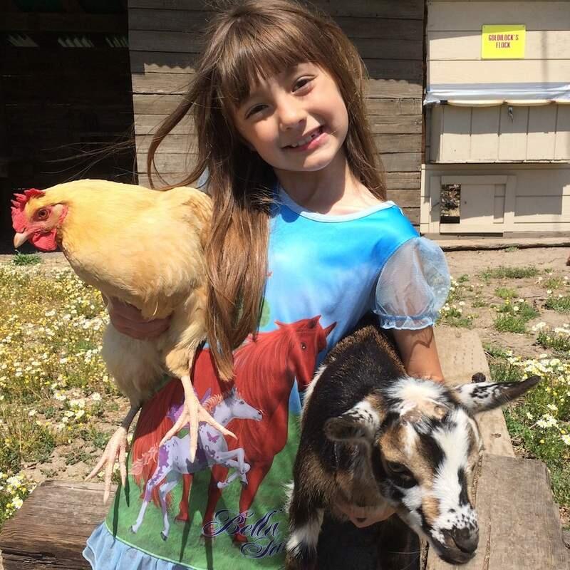 Melissa Minaker started raising chickens and goats on her family's Fulton farm, McMini-Akers, when she was 5. Her vast knowledge of goats paid off at the 4-H Bay/Coast Area Presentation Day in Antioch in March 2019. She won a gold medal for her presentation on the benefits of goat's milk. (PATTY MINAKER)