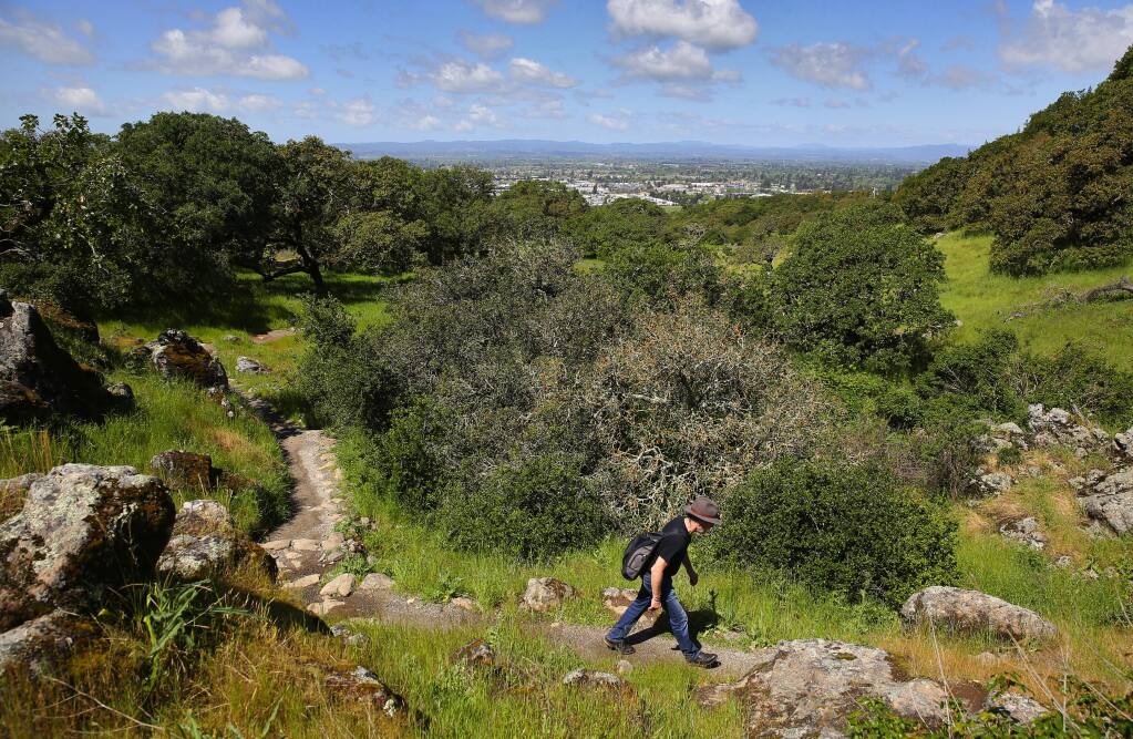 Christian Mordh hikes in Taylor Mountain Regional Park and Open Space Preserve, in Santa Rosa, on Thursday, April 20, 2017. (Christopher Chung/ The Press Democrat)
