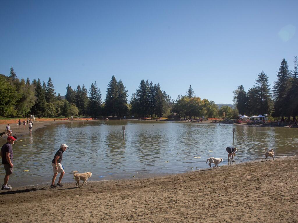 Dogs play in the waters of Spring Lake Regional Park in Santa Rosa, Calif. during Water Bark at Spring Lake Swimming Lagoon Sunday, September 18, 2016. Monies raised from Water Bark support the Sonoma County Regional Parks Foundation,(Jeremy Portje / For The Press Democrat)