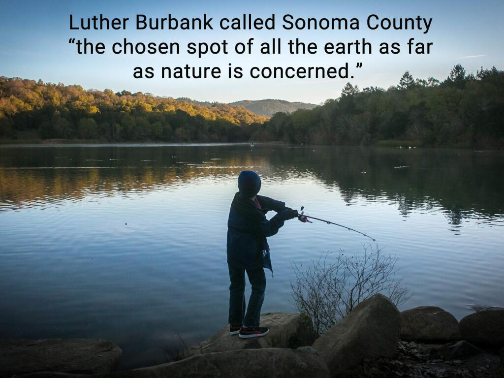 Luther Burbank called Sonoma County “the chosen spot of all the earth as far as nature is concerned.” (Jeremy Portje / For The Press Democrat)