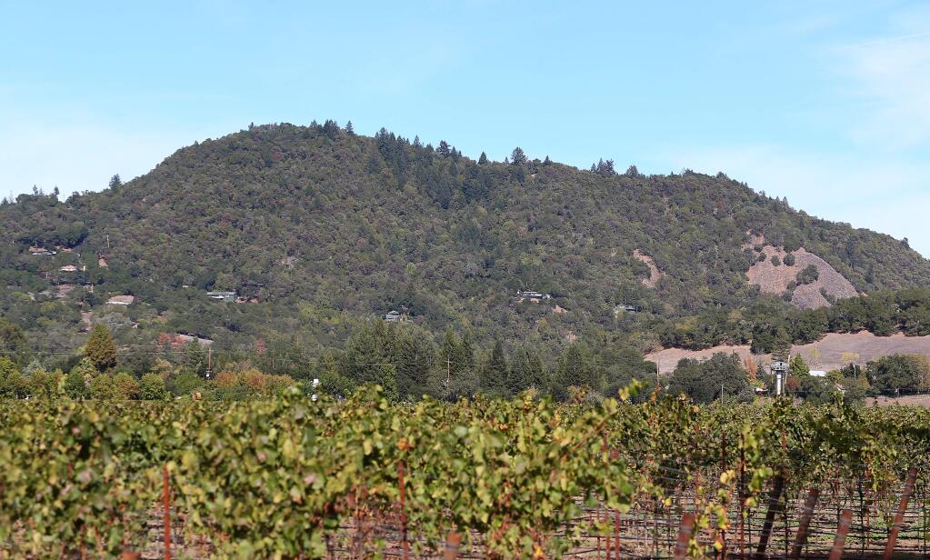 Sonoma County is finalizing the acquisition of 199 acres atop Fitch Mountain, near Healdsburg.(Christopher Chung/ The Press Democrat)
