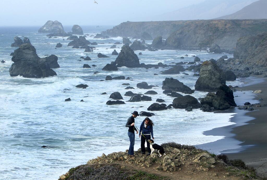 Levi Korvin, Tori Ulrich and their dog, Annie Oakley, enjoy a vista along the Kortum Trail on the Sonoma Coast near Shell Beach on Friday, Jan. 24, 2014. The San Geronimo residents spent the day winding up Highway 1 to Jenner. (John Burgess/The Press Democrat)