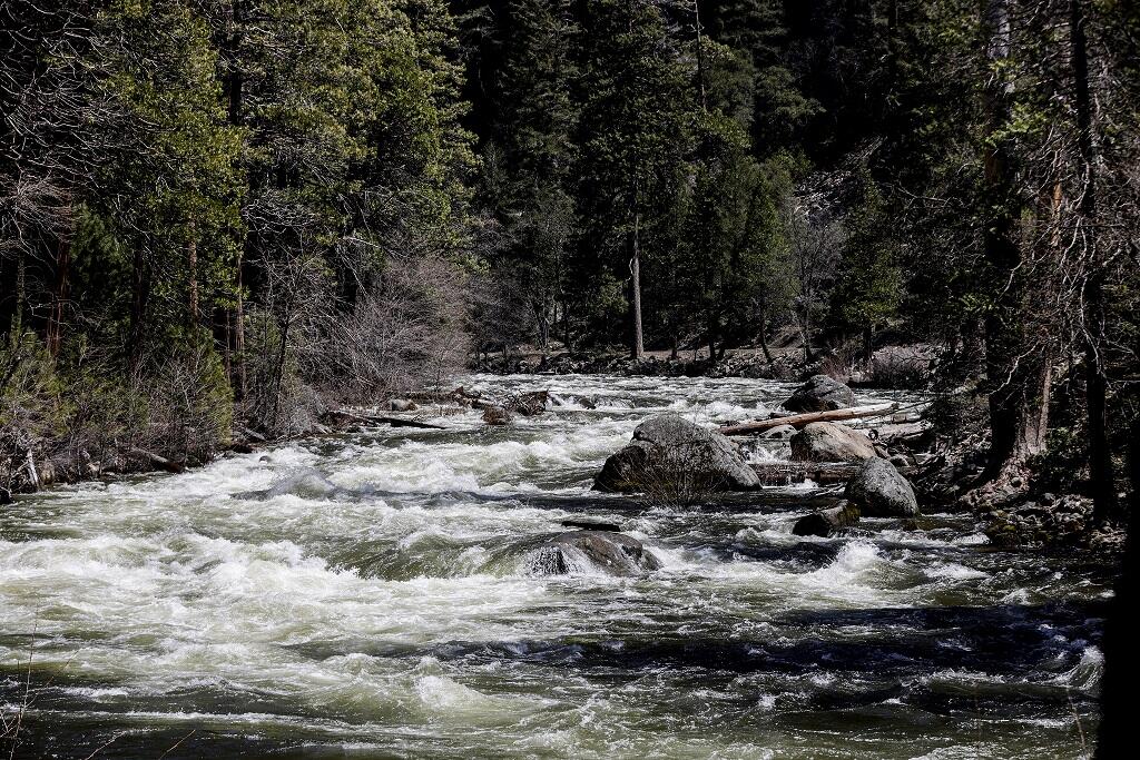 The Merced River in Yosemite National Park, like many other California waterways, is running high and fast this year. (BRONTË WITTPENN / San Francisco Chronicle)