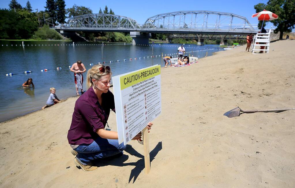Ashley Brown of the Sonoma County department of Health Services staples a precaution notice alerting visitors to positive test results for a potentially dangerous naturally occurring neurotoxin, Anatoxin-a, linked to harmful type of blue-green algae, Wednesday July 27, 2017 at Healdsburg Memorial Beach, (Kent Porter / Press Democrat) 2017