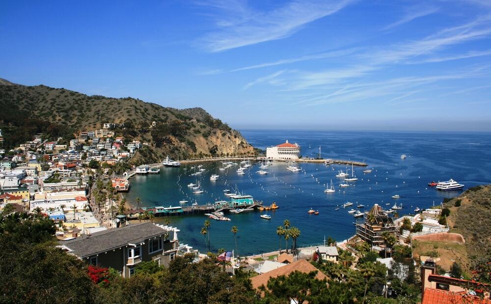 Catalina Island (L.A. Nature Graphics / Shutterstock)