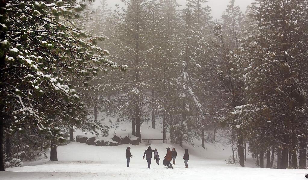 A group of friends from Clearlake play in the snow as they look for a good sledding hill at Penny Pines above Upper Lake in the Mendocino National Forest, Tuesday Jan. 3, 2017. (Kent Porter / The Press Democrat) 2017