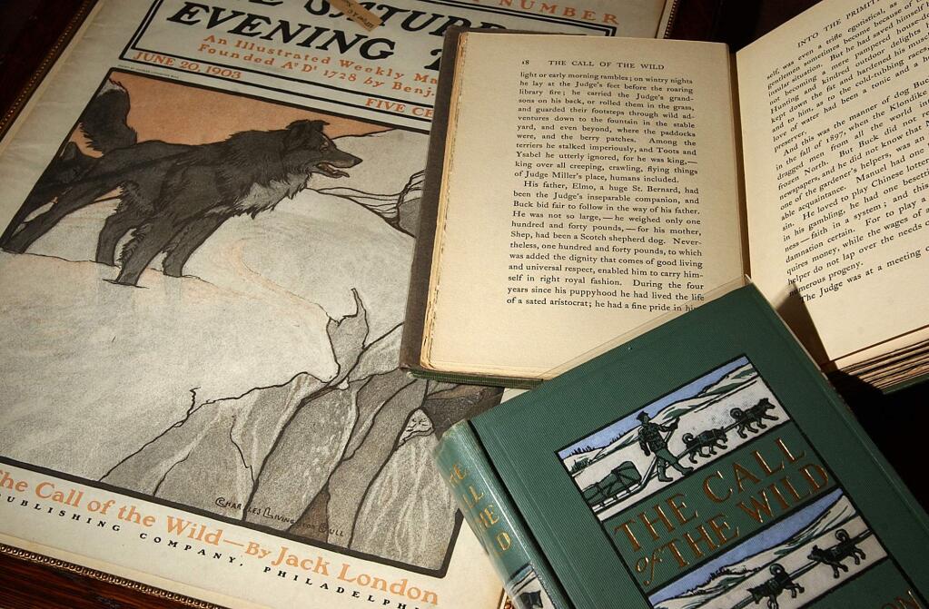 Fans and collectors devour any items that remain from Jack London's estate. Pictured here are a first edition copy of 'The Call of the Wild' from 1903 and the June 30 1903 Saturday Evening Post that included the story's first publication, as a series. (Press Democrat archive)