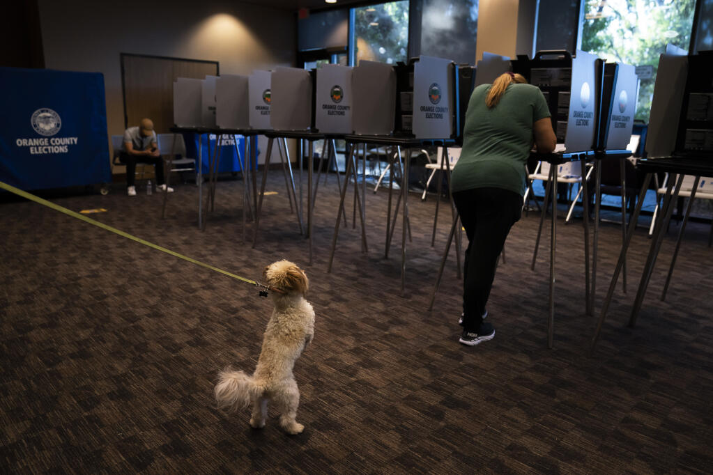 Two-year-old dog Teddy pulls on a leash while owner Dana Brajevic casts her ballot at a vote center, Tuesday, Sept. 14, 2021, in Huntington Beach, Calif. With Gov. Gavin Newsom's fate at stake, Californians cast the last of the ballots that will decide whether he continues to lead them or if the nation's most populous state veers in a more conservative direction amid anger over his actions during the COVID-19 pandemic. (AP Photo/Jae C. Hong)