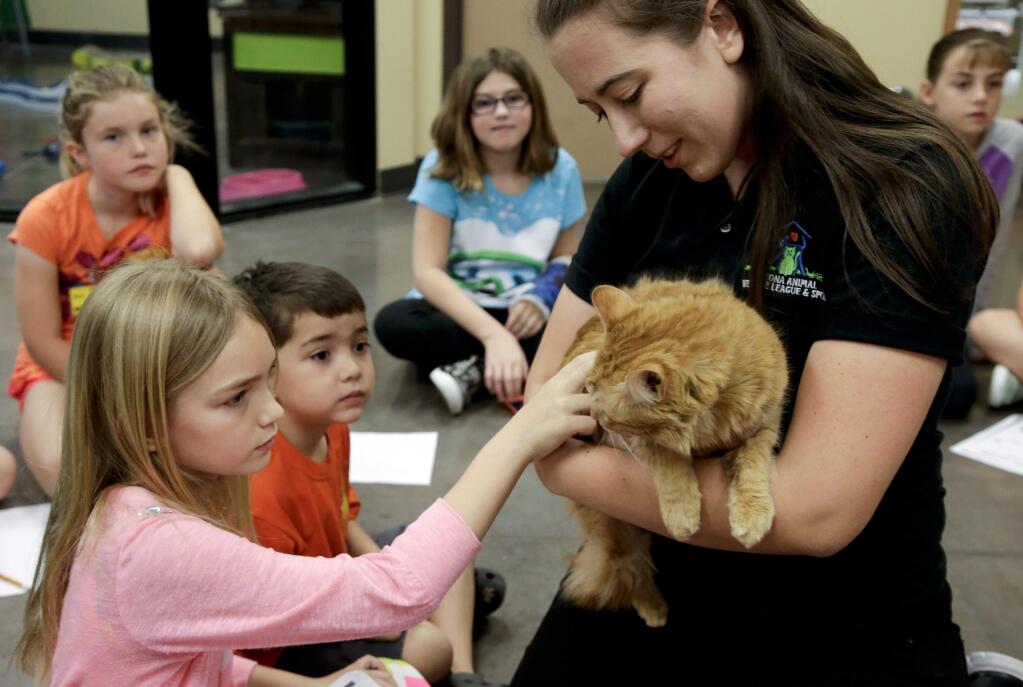 In this Monday, March 23, 2015 photo, Hannah Billings, 8, left, and Avery Ramos, 4, pet a cat held by humane educator Samantha Taubel at the Arizona Animal Welfare League & SPCA spring kids camp in Phoenix. Thousands of youngsters from 6 to 17 will attend similar summer camps this year at hundreds of animal shelters across the country. (AP Photo/Chris Carlson)