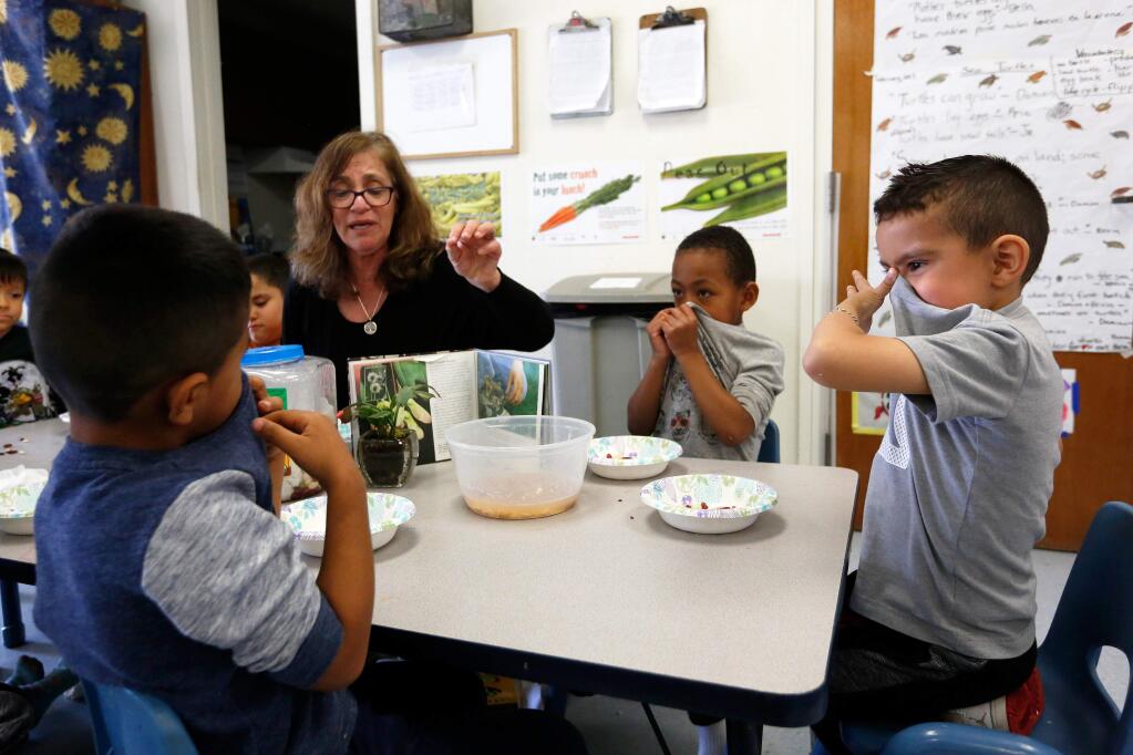 Preschool classmates Kevin Torres, right, Richard Wilson, Jr., and Josue Chamorro, left, cover their noses at the smell of kidney beans that have been soaking in water during a lesson by teacher Devra Newhouse at 4Cs Willow Creek Preschool, in Santa Rosa, California, Wednesday, April 26, 2017. (Alvin Jornada / The Press Democrat)