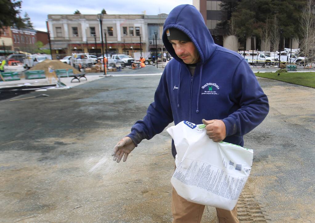Juan Gonzalez distributes fertilizer as new sod is placed in the reunification of Old Courthouse Square project, Monday March 20, 2017 in Santa Rosa. (Kent Porter / The Press Democrat) 2017
