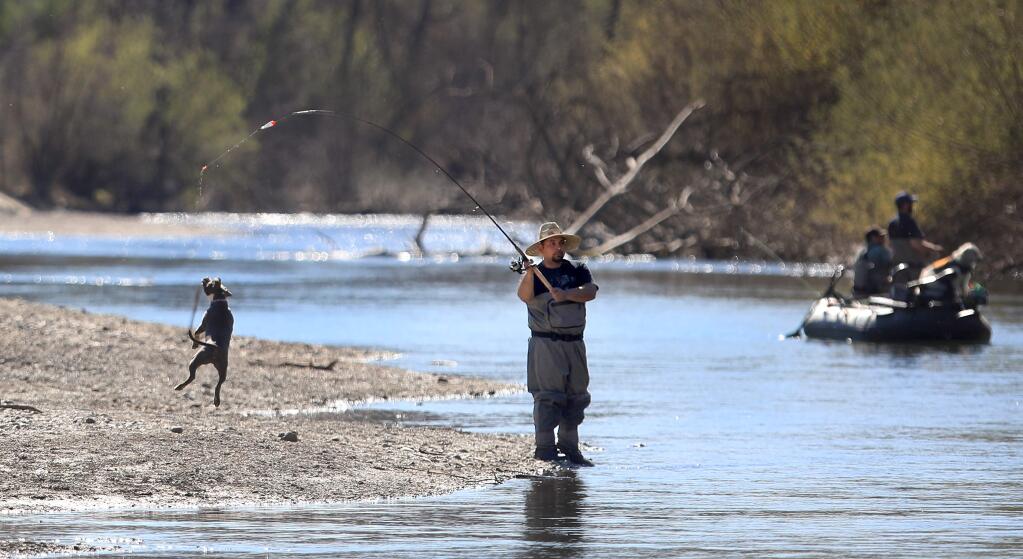 Fisherman on the Russian River during a low-flow period in February. (KENT PORTER / The Press Democrat)