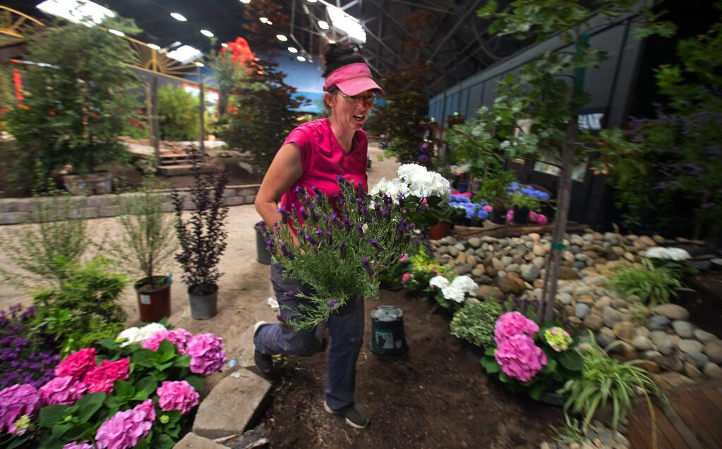 Dayna Justus buries potted plants in her oak woodland-themed garden for the Sonoma County Fair in the Hall of Flowers on Thursday. (photo by John Burgess/The Press Democrat)