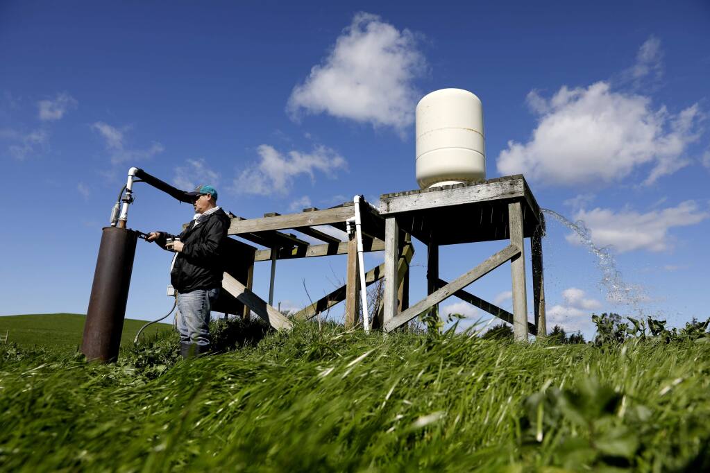 Mark Zastrow, a certified California Water Distribution Water Treatment Operator, takes water samples from a well in a cow pasture Thursday, Feb. 23, 2017, in Valley Ford, California. (Beth Schlanker/The Press Democrat, 2017)