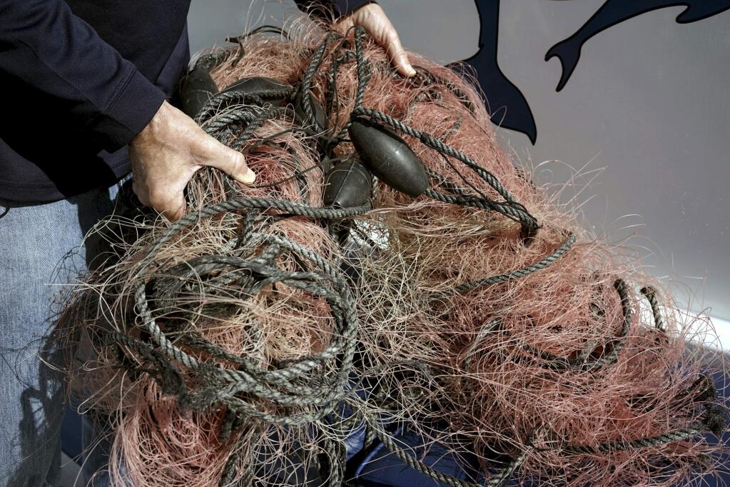 FILE - In this Nov. 30, 2015, file photo, Capt. David Anderson of Captain Dave's Dolphin and Whale Watching Safari in Dana Point, Calif., shows a net that a whale was found entangled in. An environmental group, the Center for Biological Diversity, wants the federal government to declare that California's crab fishing industry is dangerous to whales. The crabbing season opens Wednesday, Nov. 15, 2017. (AP Photo/Christine Armario, File)