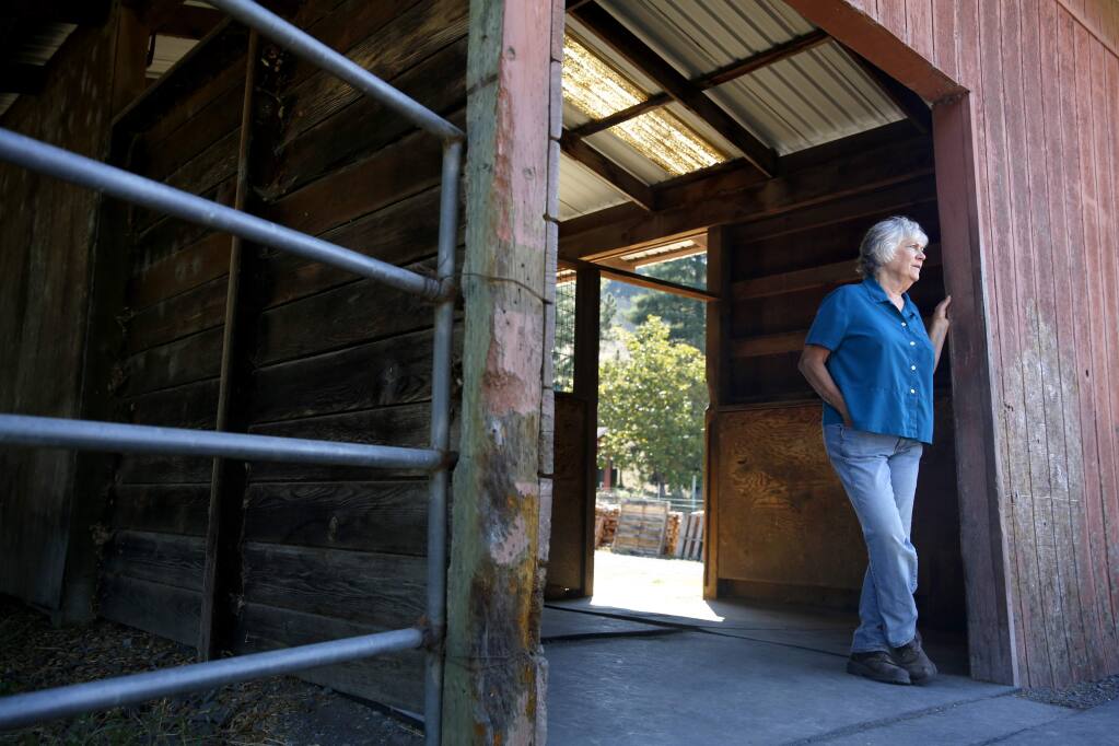 Donna Crowley stands in one of the existing structures on Bennett Valley property south of Santa Rosa, on Monday, July 13, 2015. (BETH SCHLANKER/ The Press Democrat)