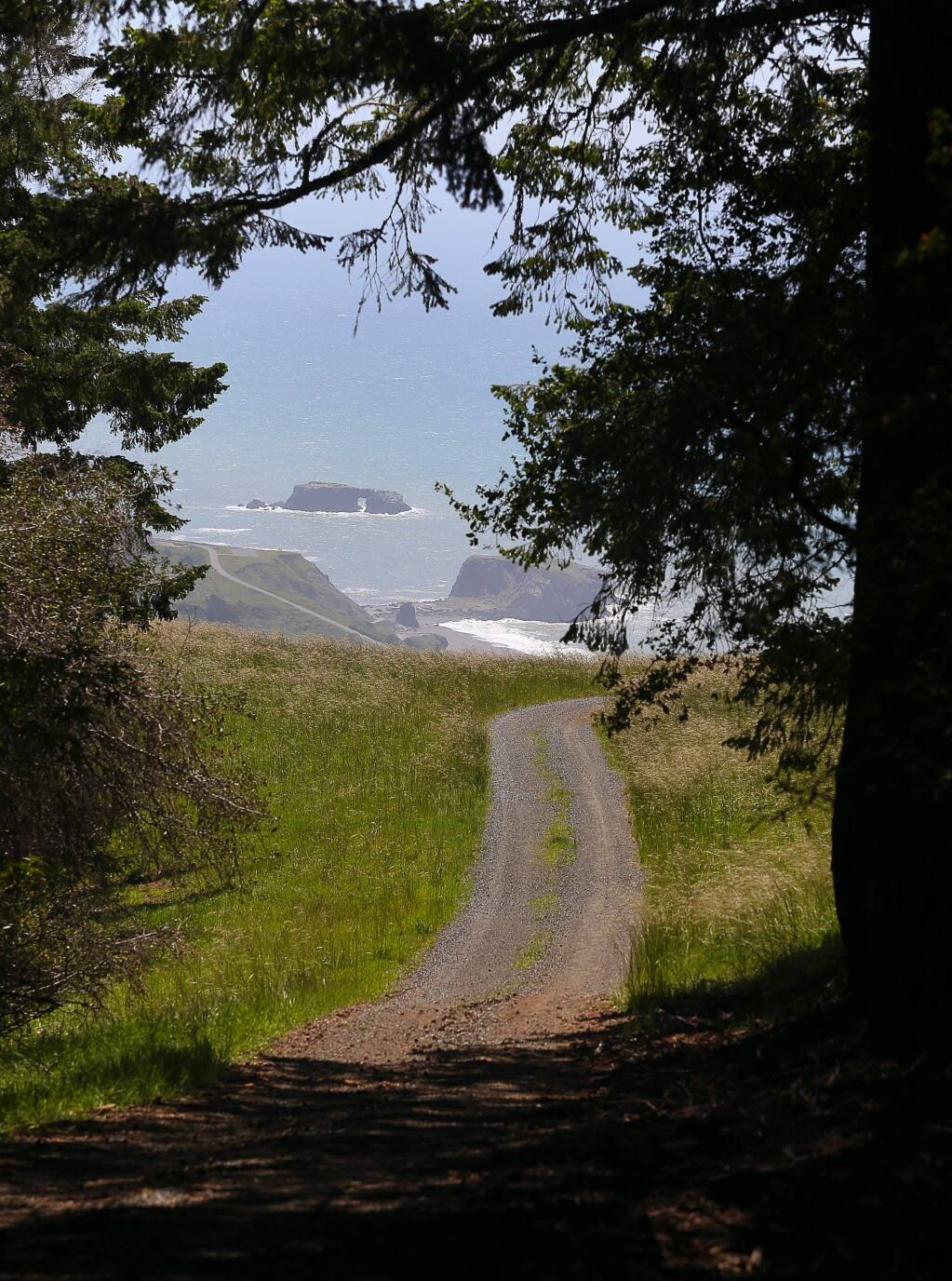 The forest line at the Jenner Headlands Preserve opens up to views of Goat Rock.(Christopher Chung/ The Press Democrat)