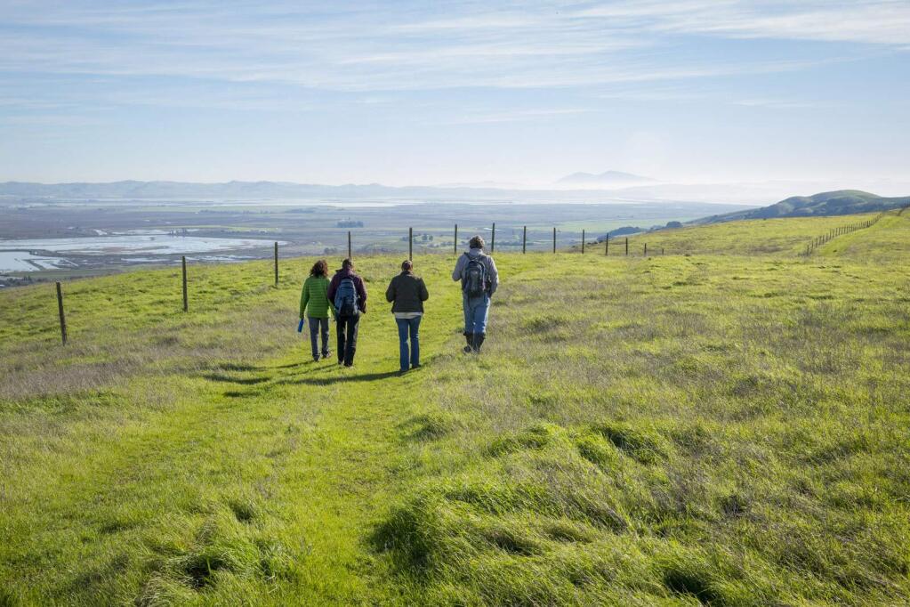 Sonoma Land Trust personnel survey the Gravelly Lake easement, near the south end of Sonoma Valley overlooking the San Pablo Bay. (Judy Bellah)