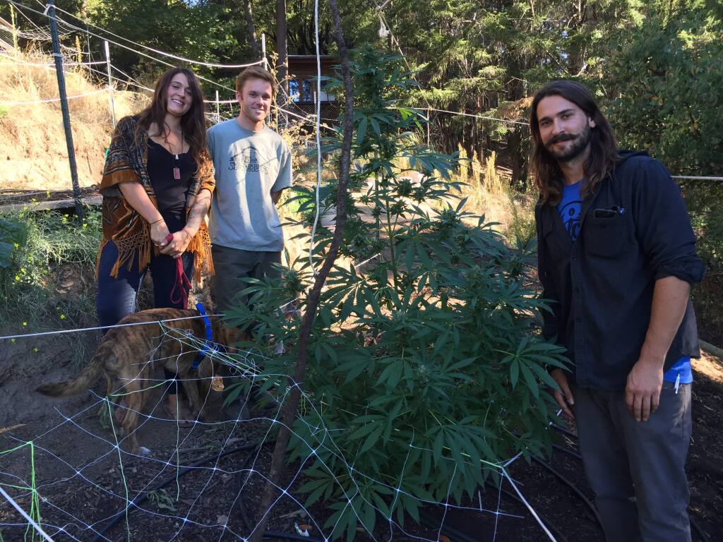 Johanna Mortz with Micah Flause, left, and her brother Andrew Mortz at their Mendocino County marijuana farm, PolyKulture. (ROBIN ABCARIAN / Los Angeles Times)