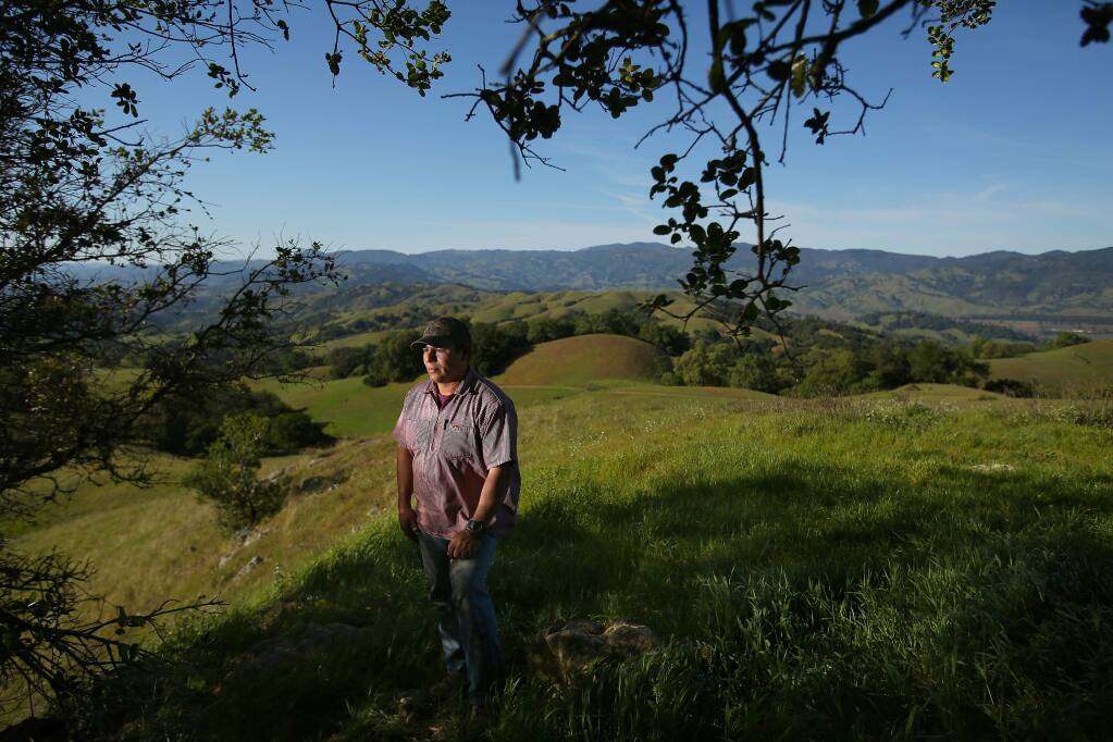 Tribal chairman of the Mishewal Wappo Scott Gabaldon, at Pepperwood Preserve overlooking his tribe's ancestral lands, plans on appealing the court decision which turned down the attempt to be restored as a tribe. (Christopher Chung/ The Press Democrat)