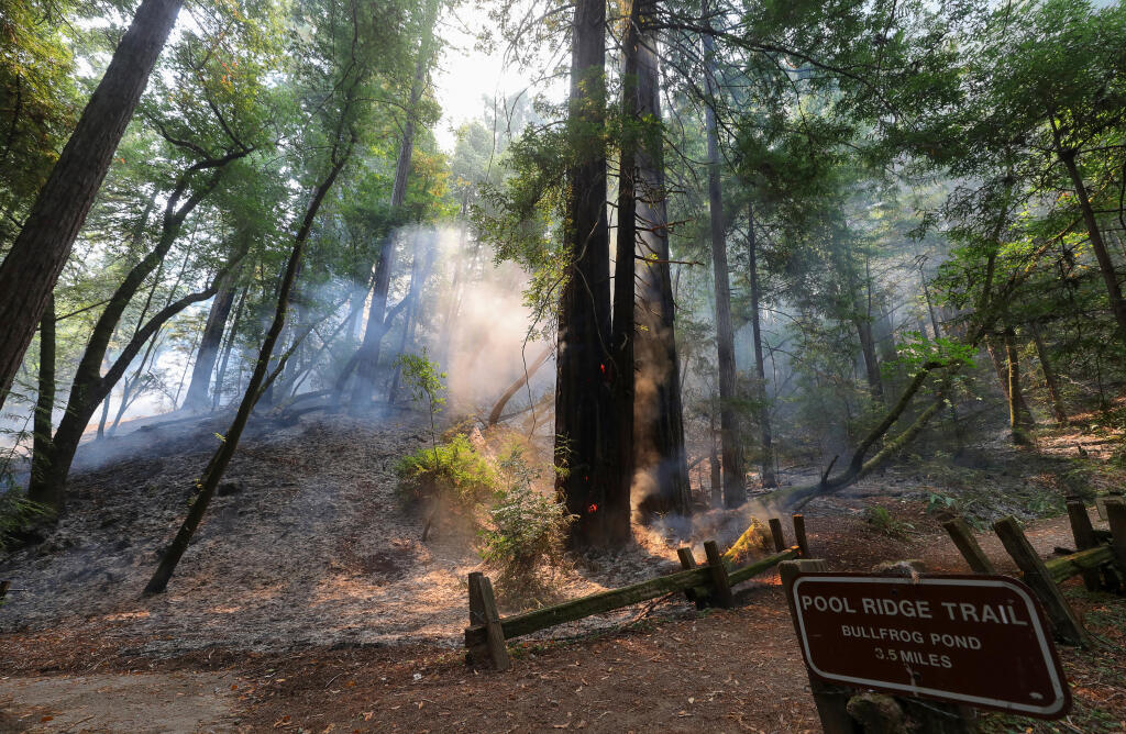 Fire burns on a hillside, near the Pool Ridge Trail, in Armstrong Woods State Natural Reserve in Guerneville on Monday, August 24, 2020.  (Christopher Chung/ The Press Democrat)