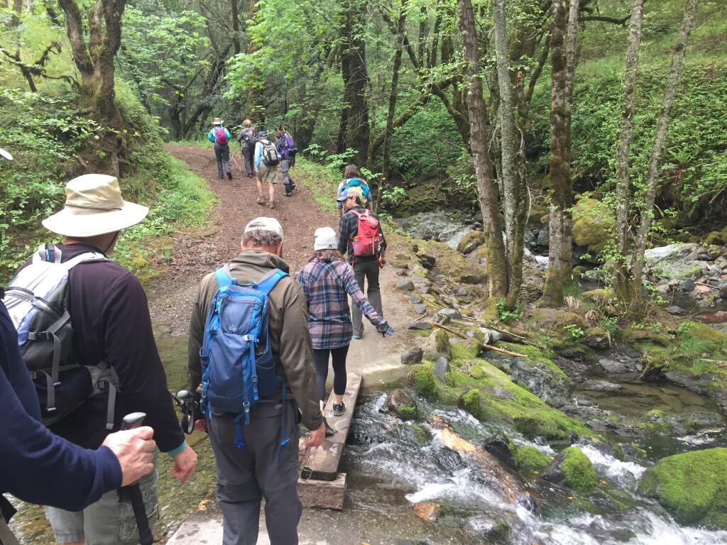 Hikers begin the Headwaters hike on April 28, 2018 by crossing a wooden bridge over one of the upper tributaries of Santa Rosa Creek, in Hood Mountain Regional Park. (John Roney)