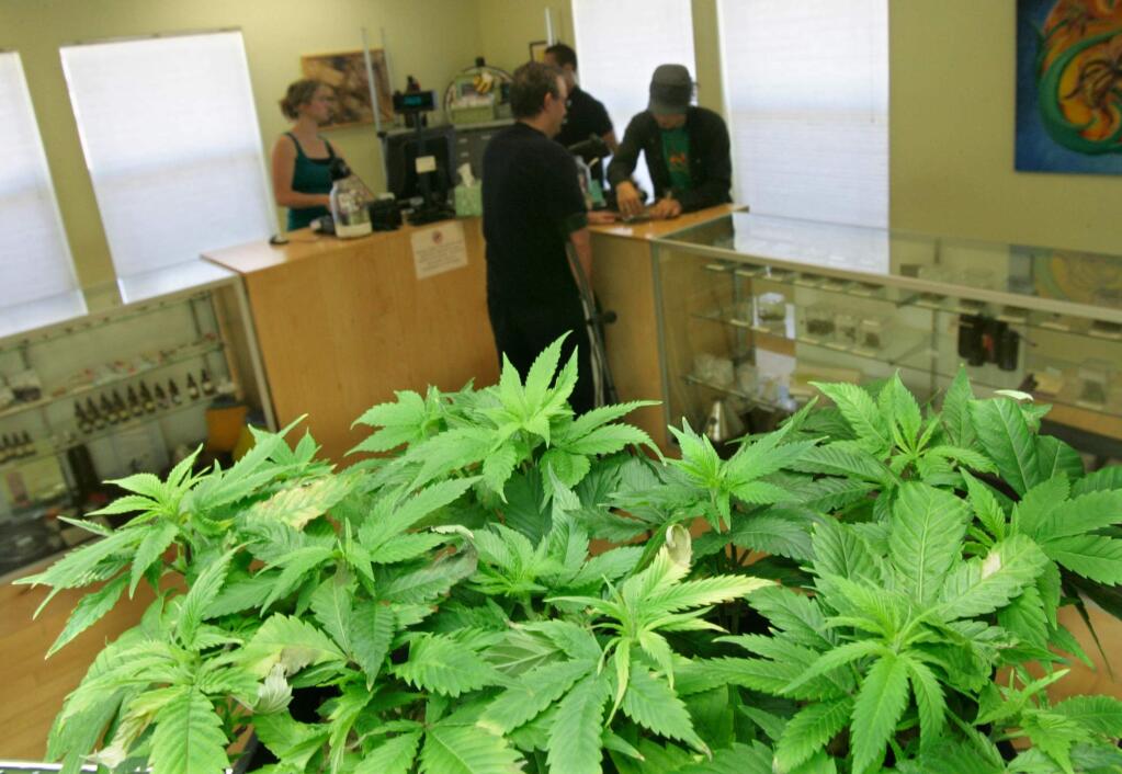 (FILE PHOTO) The SPARC dispensary for medical marijuana in Sebastopol. (John Burgess/The Press Democrat)