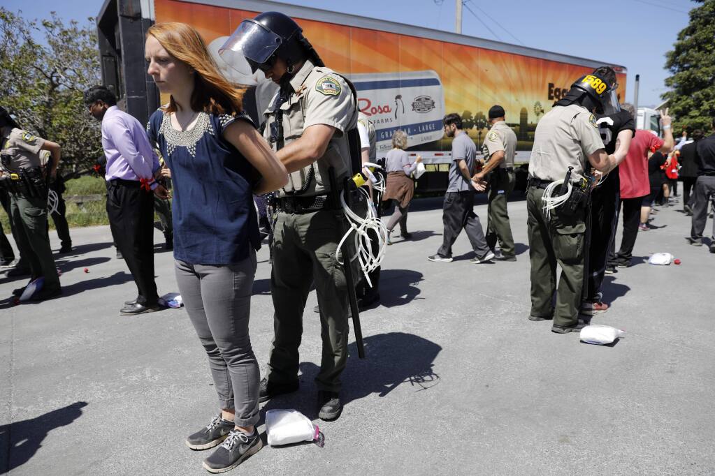 Protesters organized by the Direct Action Everywhere, an animal rights network, are arrested by Sonoma County Sheriff's deputies at a May 29 demonstration in Petaluma at Weber Family Farms. (BETH SCHLANKER/The Press Democrat)