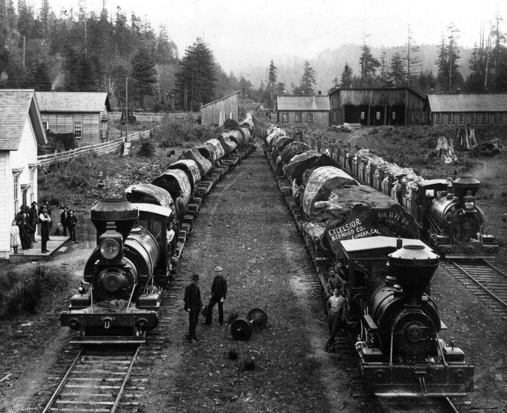 In this picture massive slices of Redwood trees are stacked on steam engines like vertebrae. Trains took the logs to the coast where they could be shipped to areas further away and be used in construction. (The Press Democrat Archive, late 19th century)
