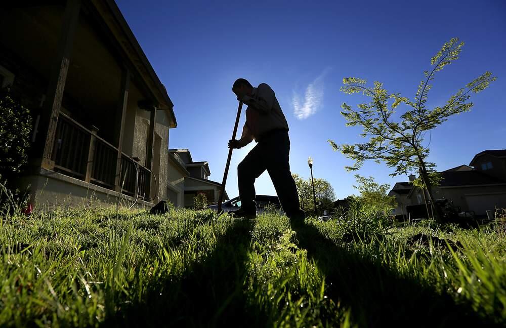 Carlos Ramirez of Sonoma Mountain Landscape digs holes for drought-tolerant plants that will replace part of a lawn at a Windsor home in April 2013. Replacing your lawn with native and drought-resistant plants is one of the most effective ways to lower your water consumption. (Kent Porter / Press Democrat)