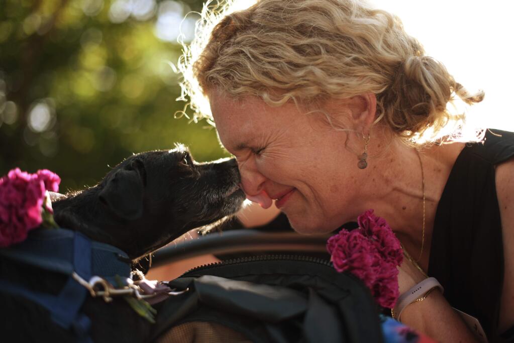 Signe Ross-Villemair, right, with Louise, a 9-year-old terrier that is up for adoption during the Wags, Whiskers and Wine Gala 2019 held Friday at Kendall-Jackson Wine Estate & Garden in Santa Rosa, California. All proceeds benefit Human Society of Sonoma County. August 9, 2019.(Photo: Erik Castro/for The Press Democrat)
