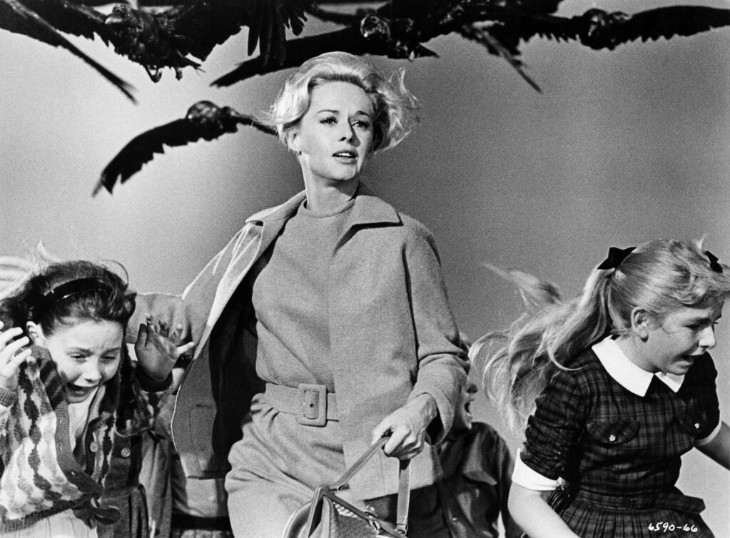 Alfred Hitchcock's iconic 1963 film “The Birds” is about an unexplained series of bird attacks on the people of Bodega Bay over a couple of days. Tippi Hedren, center, starred in the movie film and returns to Bodega Bay every few years to greet fans. (Universal Pictures)