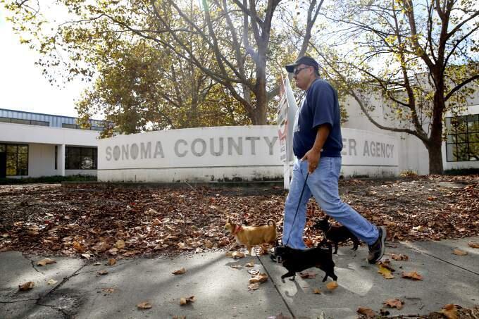 Juan Alfaro walks his dogs past 2150 W. College Ave., the former Sonoma County Water Agency campus, in Santa Rosa on Monday, Nov. 2, 2015. (BETH SCHLANKER/ PD)