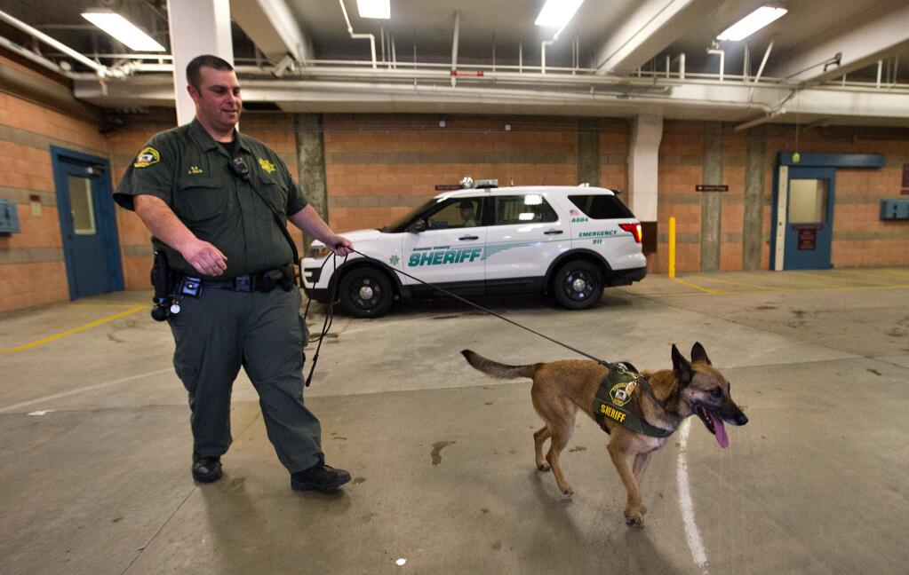 Deputy John Cilia and his drug-sniffing K-9 partner 'Sasha' work at both Sonoma County detention facilities. The two were featured along with other Sonoma County K-9 units in the book 'The Dog Lover Unit' by Rachel Rose. (photo by John Burgess/The Press Democrat)