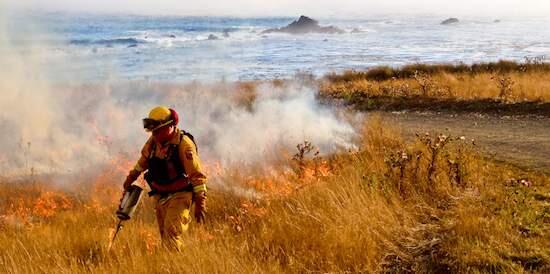 A Sea Ranch firefighter conducts a control burn at Reef Campground along the Sonoma Coast. The area is now covered by the newly formed North Sonoma Coast Fire Protection District. (Bonnie Plakos/North Sonoma Coast Fire Protection District)