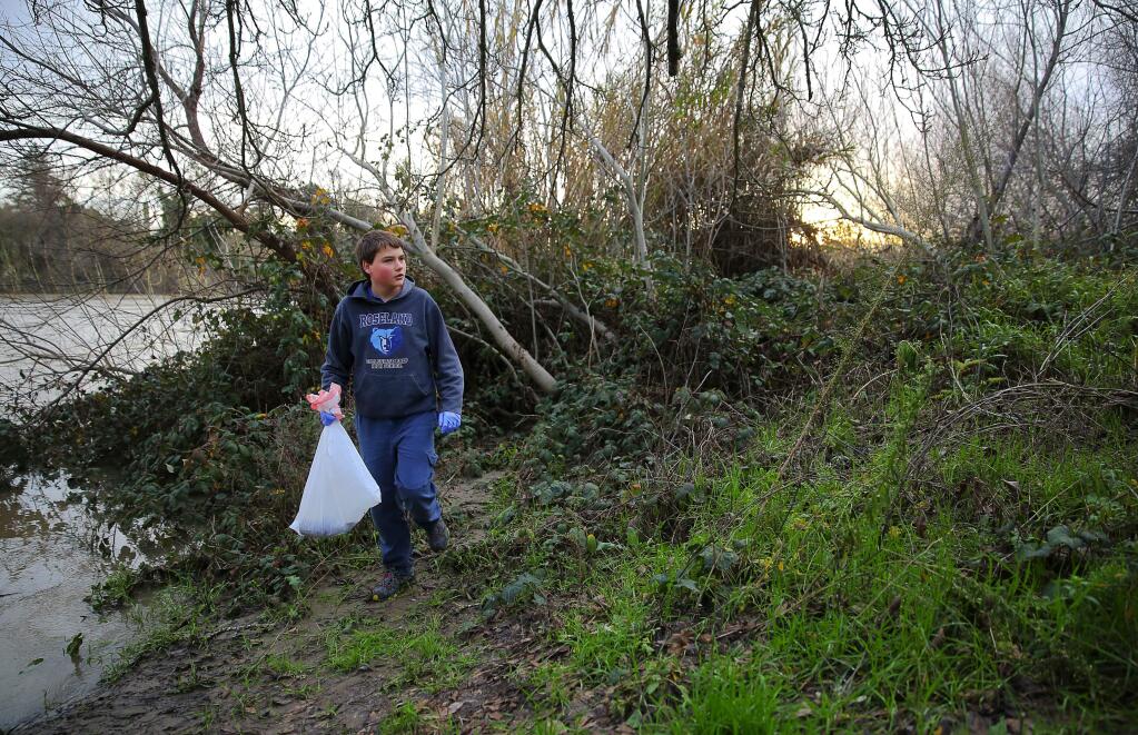 Ned Fausone, 15, a Roseland Collegiate Prep student, picks up trash on the banks of the Russian River, near Badger Park in Healdsburg, on Tuesday, January 19, 2016. (Christopher Chung/ The Press Democrat)