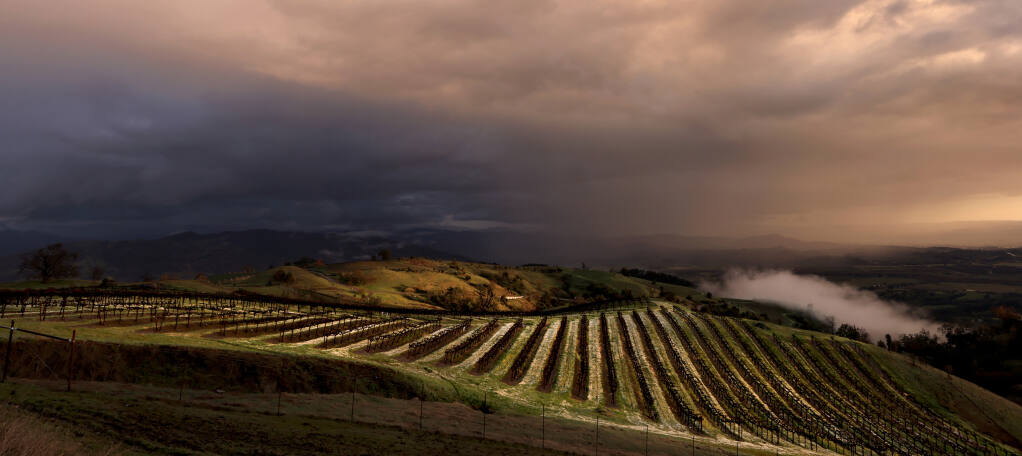 A spring storm clears over Geysers Road, Wednesday, March 22, 2023, as fading sunlight highlights a Jackson Family Wines vineyard. (Kent Porter / The Press Democrat)