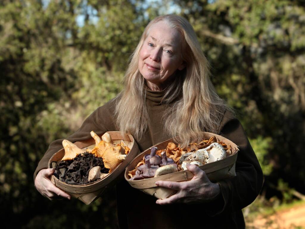 The PRess DemocratConnie Green, founder and head huntress of Wine Forest Wild Mushrooms, shows off chanterelles, blacks, matsutake, blewitt, hedgehog, and yellow feet mushrooms gathered the forests of northern California.